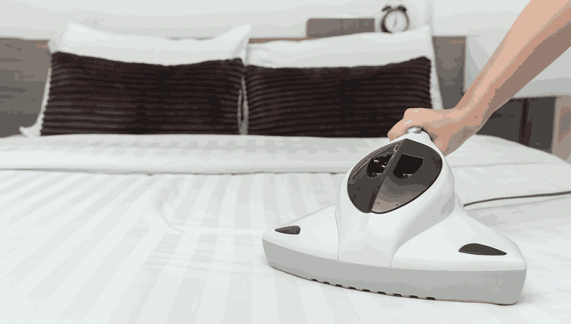 Professional Mattress Cleaning Albanvale